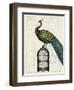 Peacock Birdcage II-Hugo Wild-Framed Art Print