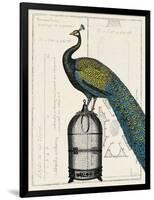 Peacock Birdcage II-null-Framed Art Print