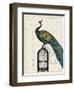 Peacock Birdcage II-null-Framed Art Print
