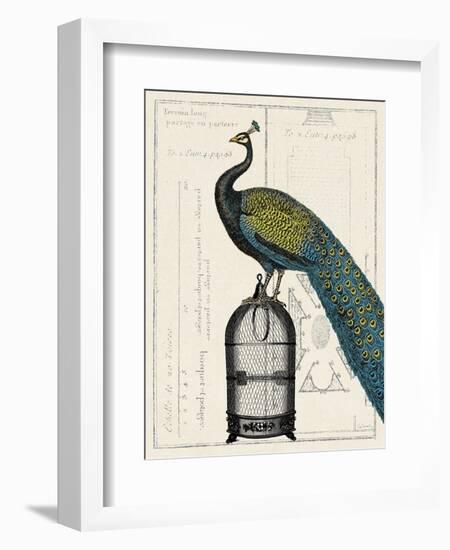 Peacock Birdcage II-null-Framed Art Print