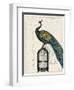 Peacock Birdcage II-null-Framed Art Print