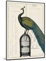 Peacock Birdcage II-null-Mounted Art Print