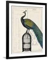 Peacock Birdcage II-null-Framed Art Print