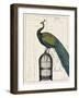 Peacock Birdcage II-null-Framed Art Print