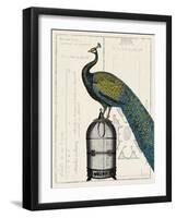 Peacock Birdcage II-null-Framed Art Print