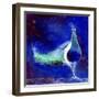 Peacock Blue, 2013-Nancy Moniz-Framed Giclee Print