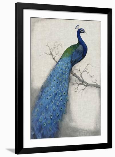 Peacock Blue I-Tim O'toole-Framed Giclee Print