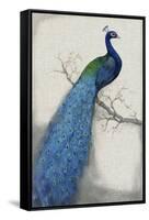 Peacock Blue I-Tim O'toole-Framed Stretched Canvas