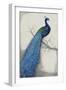 Peacock Blue I-Tim O'toole-Framed Premium Giclee Print