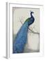 Peacock Blue I-Tim O'toole-Framed Art Print