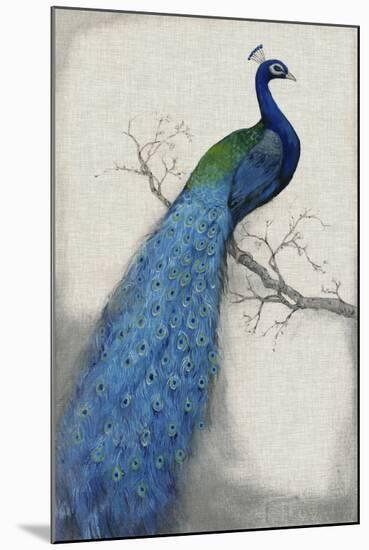 Peacock Blue I-Tim O'toole-Mounted Art Print