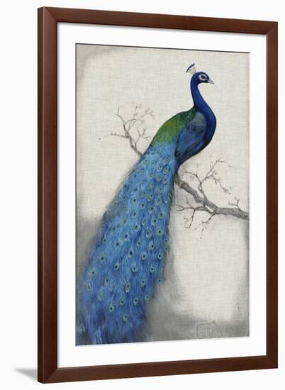 Peacock Blue I-Tim O'toole-Framed Art Print