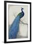 Peacock Blue I-Tim O'toole-Framed Art Print