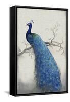 Peacock Blue II-Tim O'toole-Framed Stretched Canvas