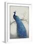 Peacock Blue II-Tim O'toole-Framed Art Print