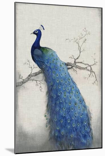 Peacock Blue II-Tim O'toole-Mounted Art Print