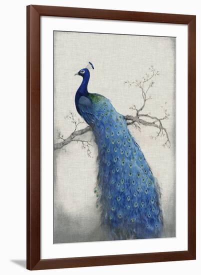 Peacock Blue II-Tim O'toole-Framed Art Print