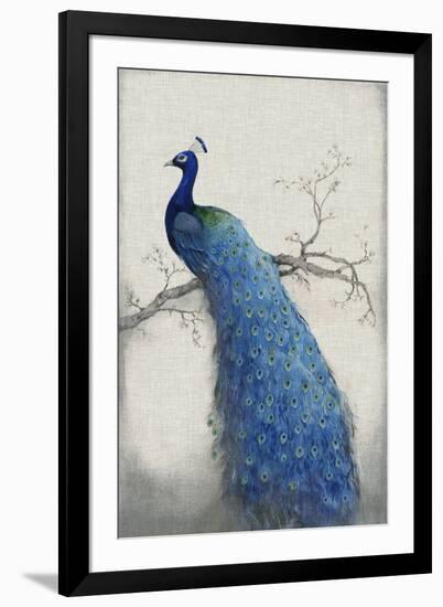 Peacock Blue II-Tim O'toole-Framed Art Print