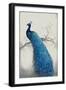 Peacock Blue II-Tim OToole-Framed Art Print