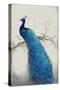 Peacock Blue II-Tim OToole-Stretched Canvas