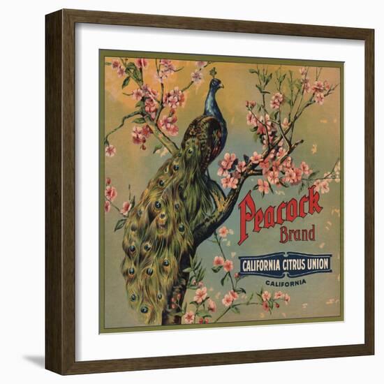 Peacock Brand - California - Citrus Crate Label-Lantern Press-Framed Art Print