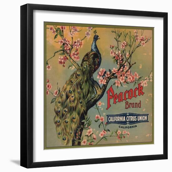 Peacock Brand - California - Citrus Crate Label-Lantern Press-Framed Art Print