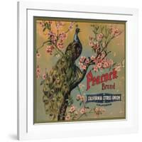 Peacock Brand - California - Citrus Crate Label-Lantern Press-Framed Art Print