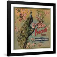 Peacock Brand - California - Citrus Crate Label-Lantern Press-Framed Art Print