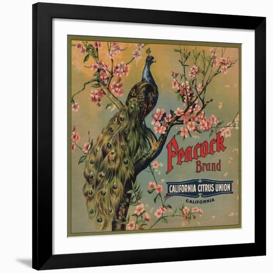 Peacock Brand - California - Citrus Crate Label-Lantern Press-Framed Art Print