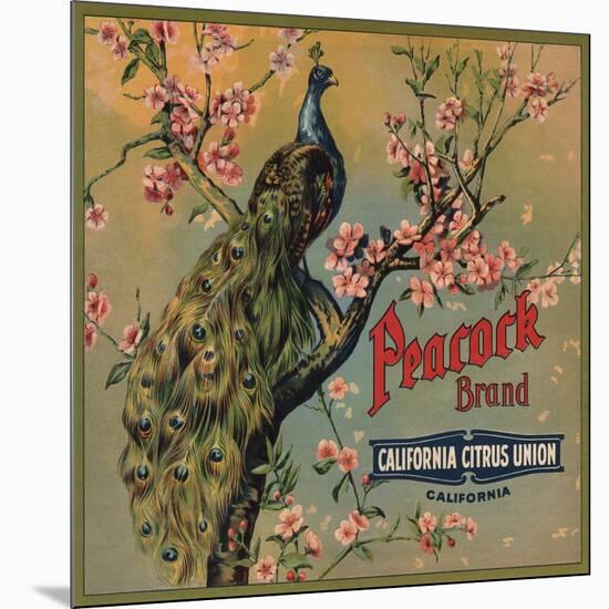 Peacock Brand - California - Citrus Crate Label-Lantern Press-Mounted Art Print