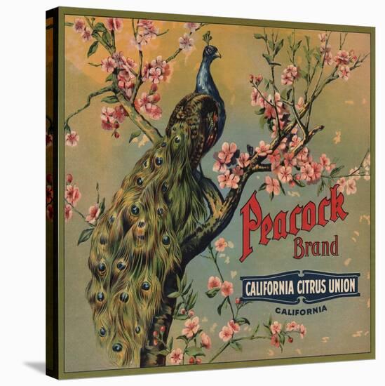 Peacock Brand - California - Citrus Crate Label-Lantern Press-Stretched Canvas