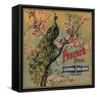 Peacock Brand - California - Citrus Crate Label-Lantern Press-Framed Stretched Canvas