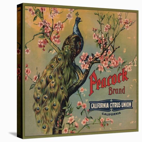 Peacock Brand - California - Citrus Crate Label-Lantern Press-Stretched Canvas