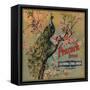 Peacock Brand - California - Citrus Crate Label-Lantern Press-Framed Stretched Canvas