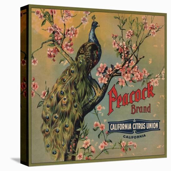 Peacock Brand - California - Citrus Crate Label-Lantern Press-Stretched Canvas