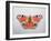 Peacock Butterfly, 2012-Ele Grafton-Framed Giclee Print