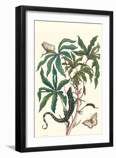 Peacock Butterfly with a Lizard-Maria Sibylla Merian-Framed Art Print