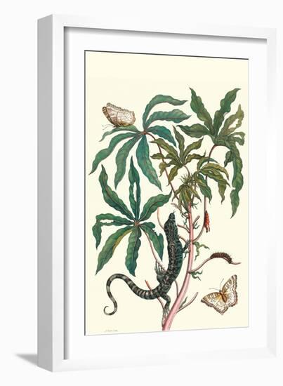 Peacock Butterfly with a Lizard-Maria Sibylla Merian-Framed Art Print