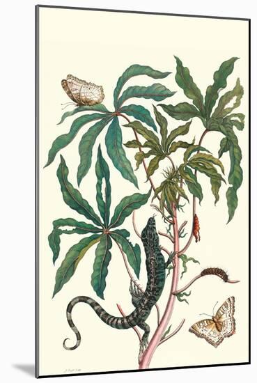 Peacock Butterfly with a Lizard-Maria Sibylla Merian-Mounted Art Print