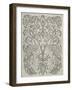 Peacock Damask I-Chariklia Zarris-Framed Art Print