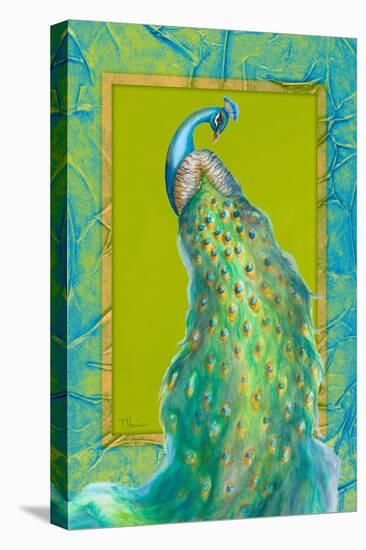 Peacock Daze I-Tiffany Hakimipour-Stretched Canvas