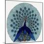 Peacock Design in an Advertisement for Stockings-null-Mounted Art Print