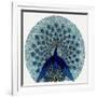 Peacock Design in an Advertisement for Stockings-null-Framed Art Print