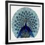 Peacock Design in an Advertisement for Stockings-null-Framed Art Print