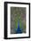 Peacock Displaying Tail Feathers, United Kingdom, Europe-Neale Clarke-Framed Premium Photographic Print