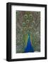 Peacock Displaying Tail Feathers, United Kingdom, Europe-Neale Clarke-Framed Premium Photographic Print