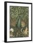 Peacock Embellishment-Theo van Hoytema-Framed Premium Giclee Print