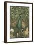 Peacock Embellishment-Theo van Hoytema-Framed Premium Giclee Print