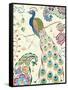 Peacock Fantasy III-Daphne Brissonnet-Framed Stretched Canvas