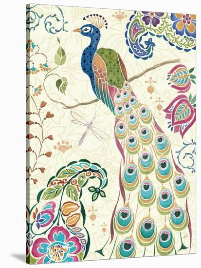 Peacock Fantasy III-Daphne Brissonnet-Stretched Canvas